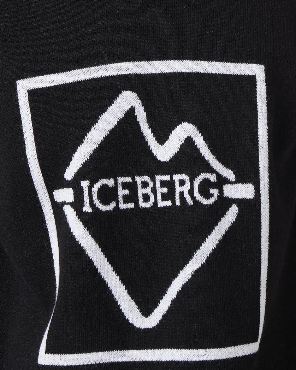 Iceberg Crew-neck Wool Blend Sweater