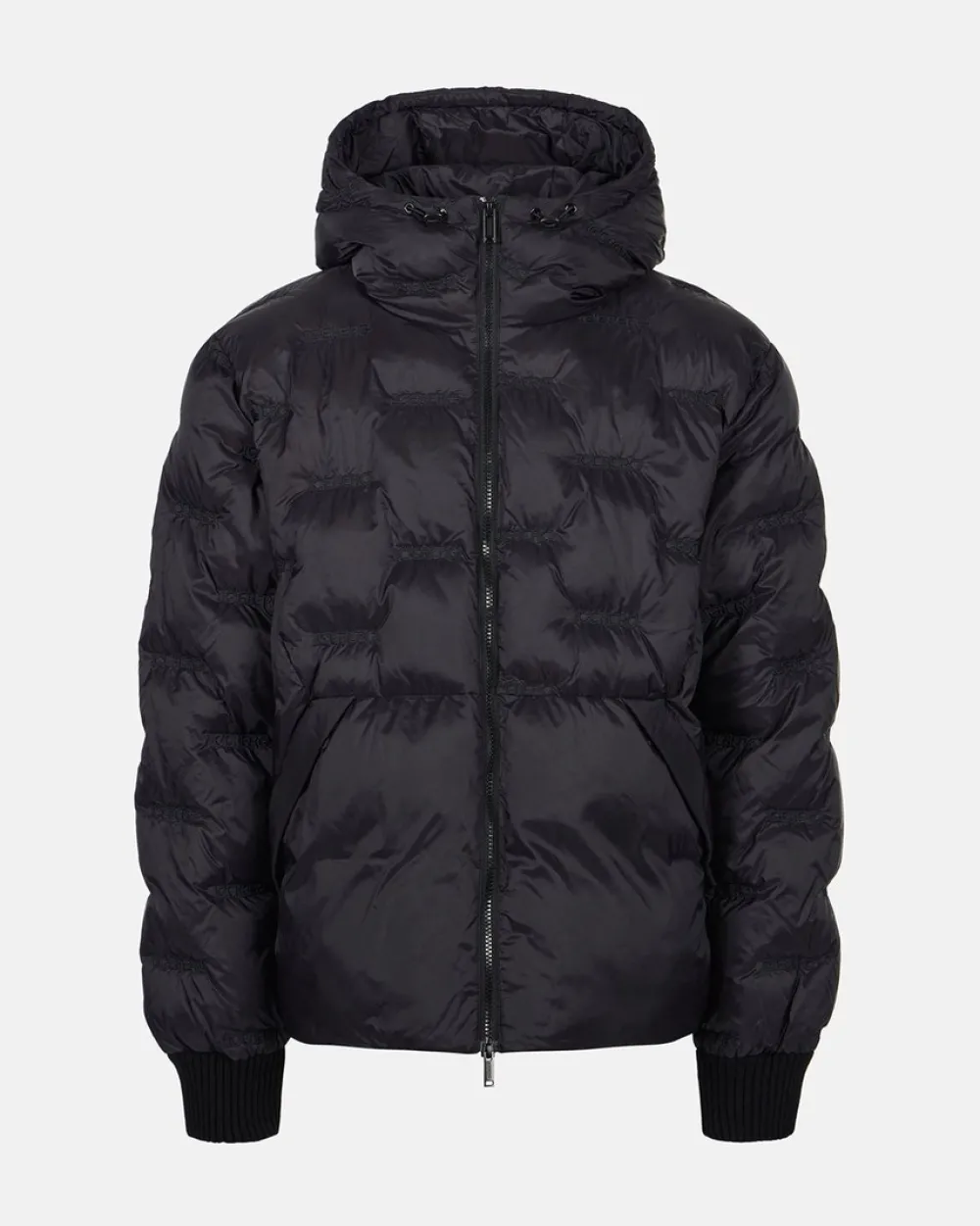 Iceberg Imitation Down Nylon Jacket With Allover Embroidery And Central Zip