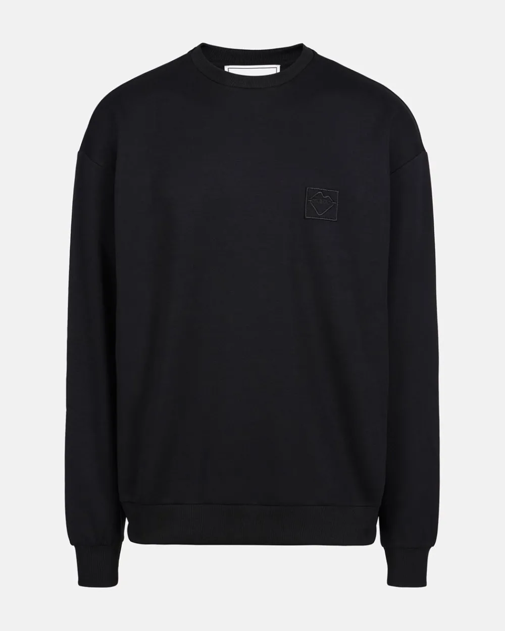 Iceberg Sweatshirt In Technical Fabric