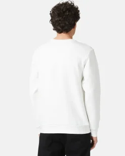 Iceberg Sweatshirt With Yogi Print