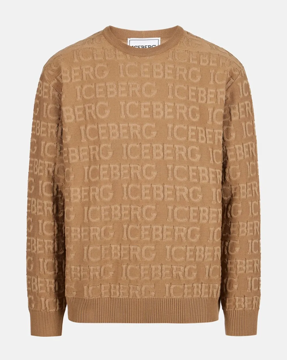 Iceberg Wool Sweater With Logo